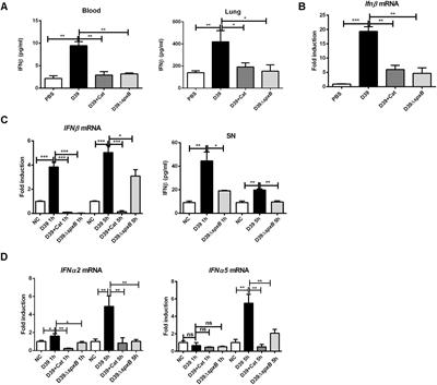 Mitochondrial DNA Leakage Caused by Streptococcus pneumoniae Hydrogen Peroxide Promotes Type I IFN Expression in Lung Cells